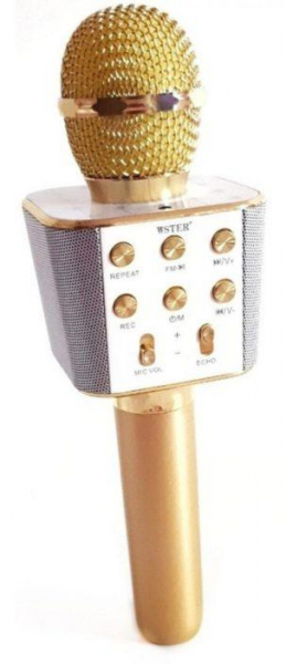 ТОП-12 лучших караоке-микрофонов: рейтинг, какой выбрать и купить, отзывы, особенности