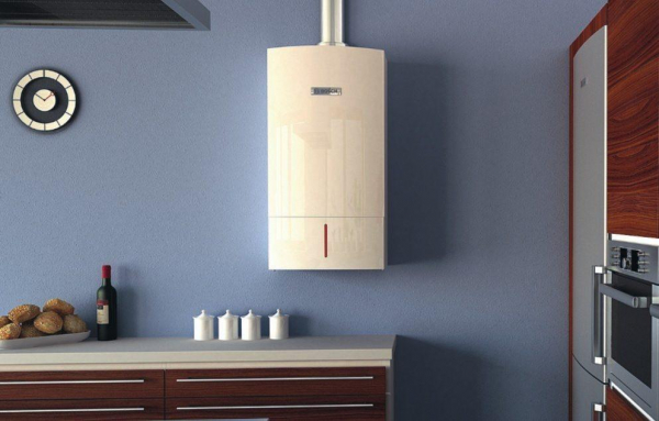 10 лучших газовых водонагревателей для дома по отзывам специалистов