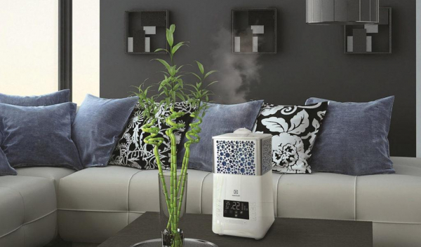 ТОП-10 лучших увлажнителей воздуха для квартиры: традиционные, паровые, ультразвуковые